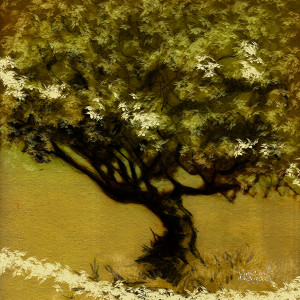 tree_0010-d_vinicius chagas